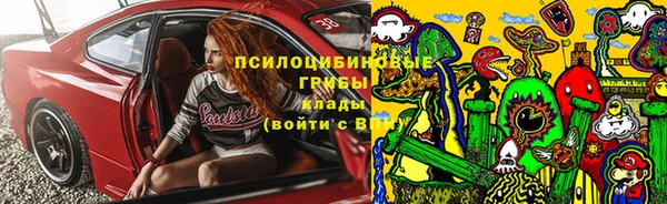 Альфа ПВП Алзамай