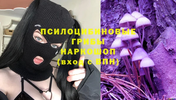 Альфа ПВП Алзамай