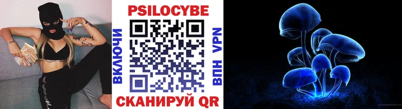 Галлюциногенные грибы Psilocybe  Алушта 