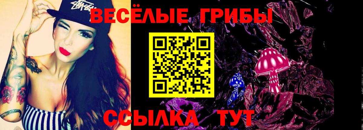 где продают   Псилоцибиновые грибы GOLDEN TEACHER  Галлюциногенные грибы мухоморы  Вход с VPN  Алушта 